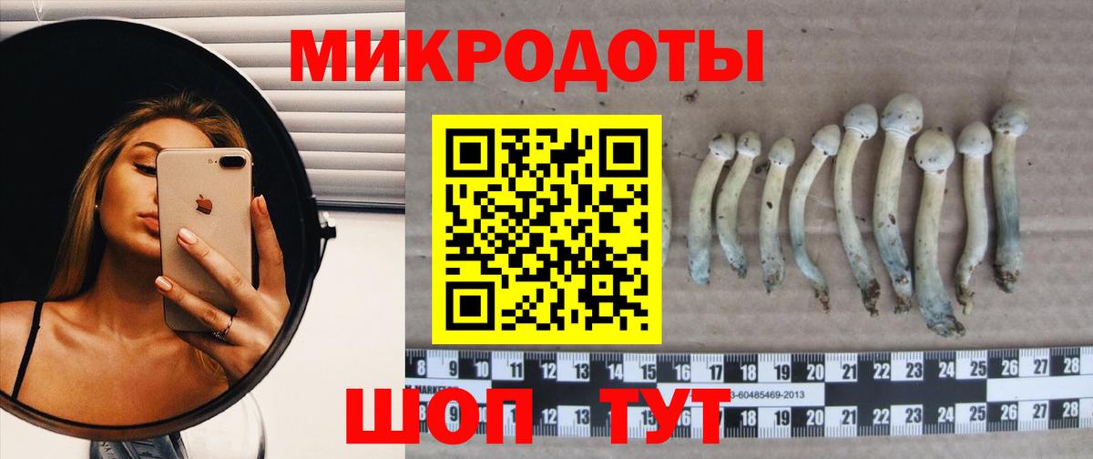 Гусев  Псилоцибиновые грибы Magic Shrooms  Вход с VPN 