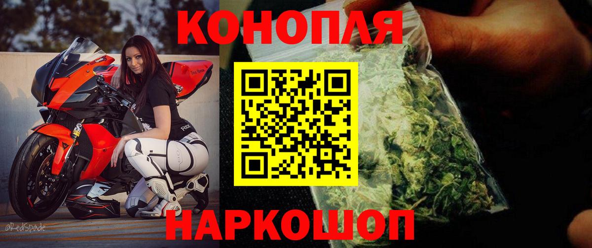 Канабис сатива Гусев
